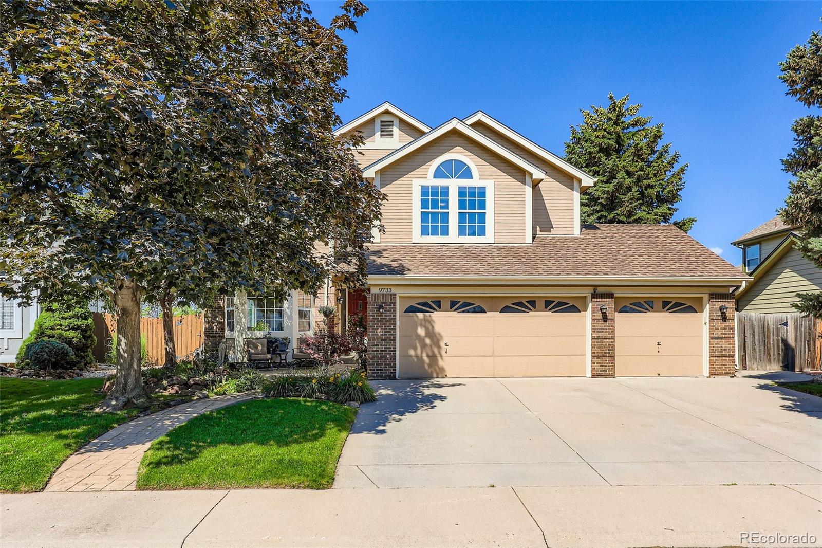 broomfield  Coming Soon Search Picture