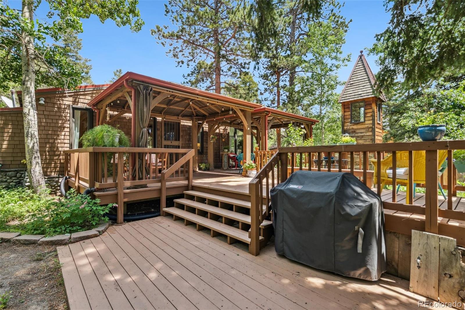 conifer  House Search Picture