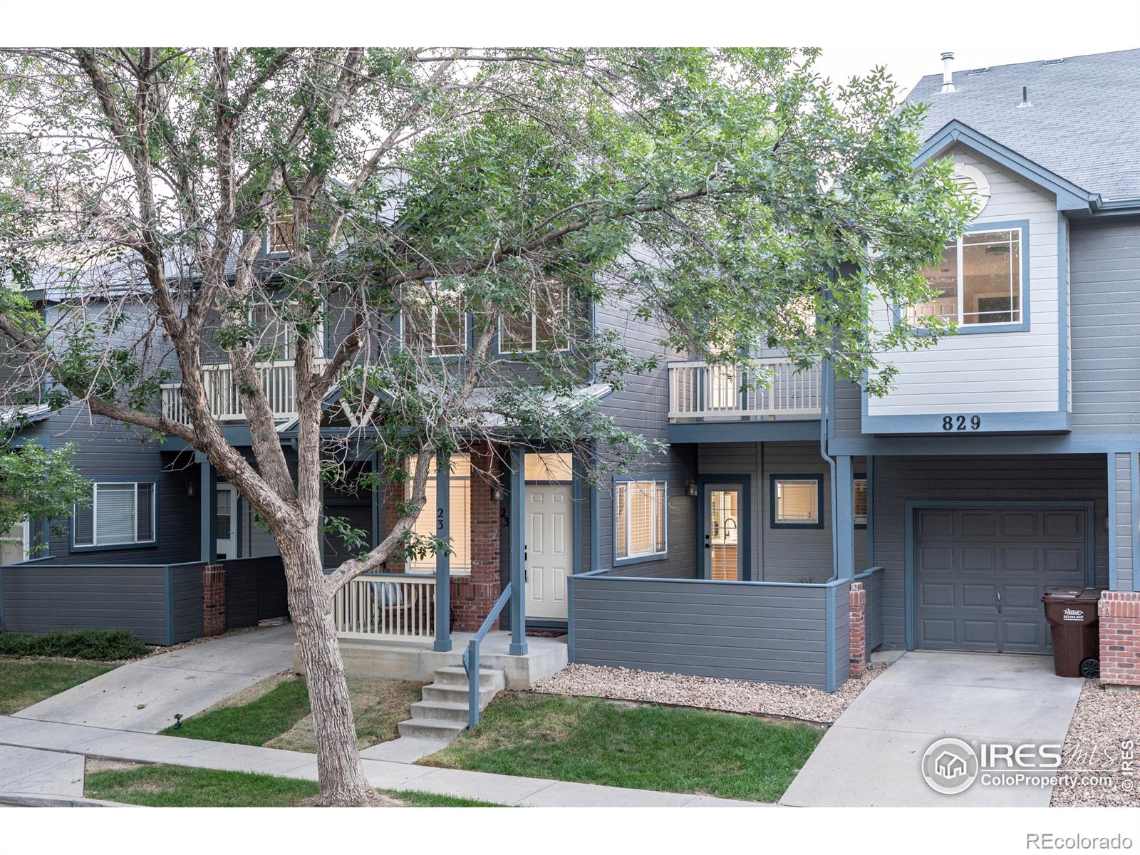 829  Kane Drive, longmont  House Search MLS Picture