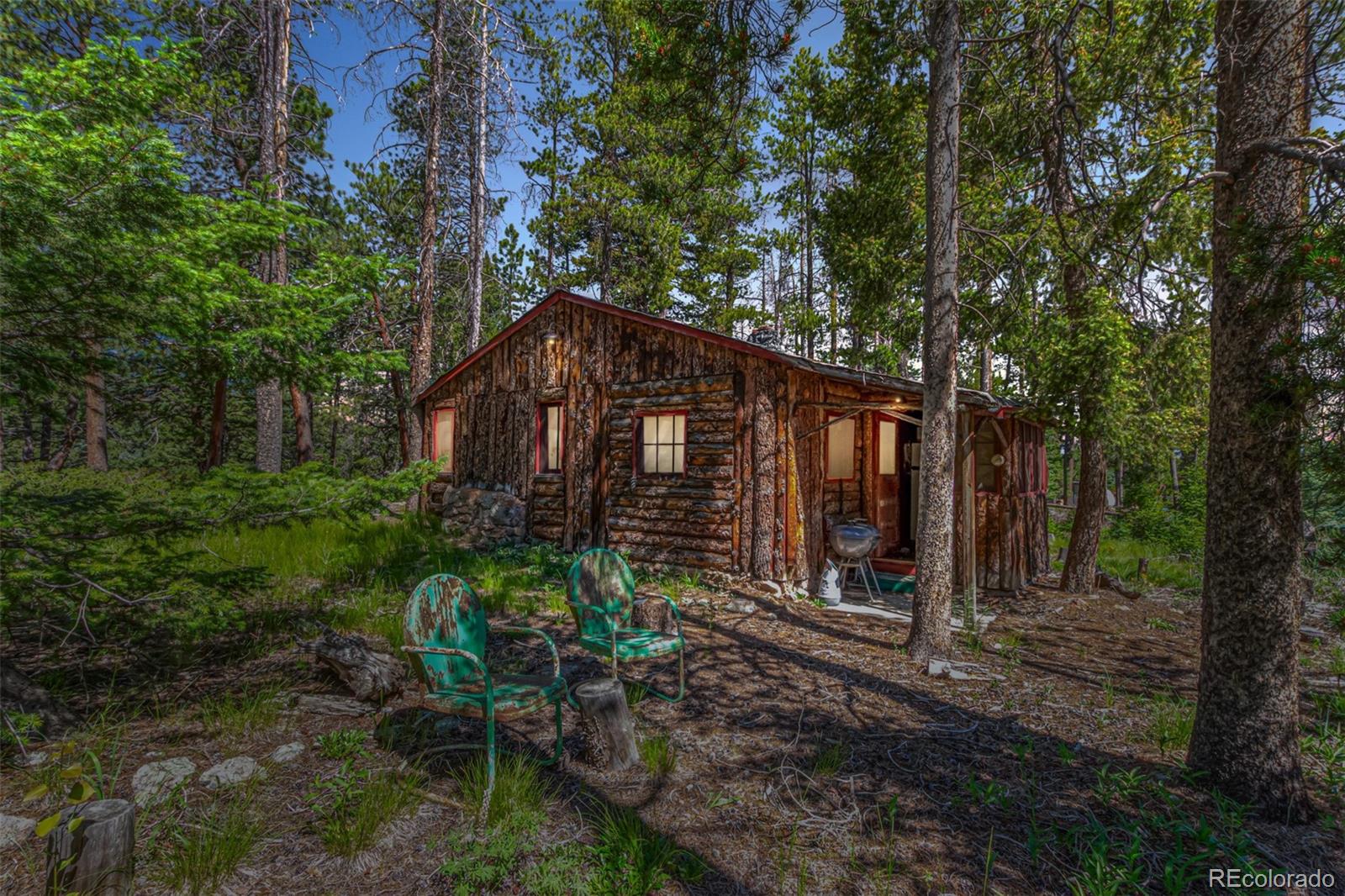 conifer  House Search Picture