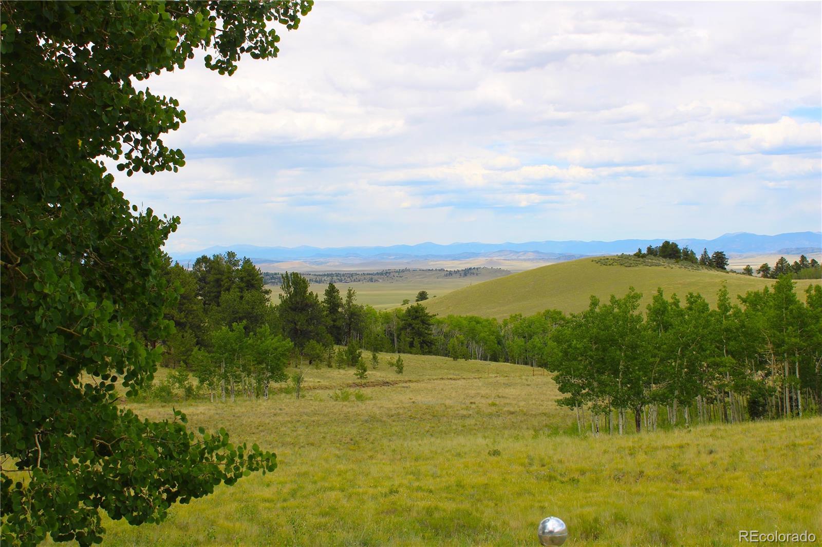 8575  Ranch Road, hartsel  House Search MLS Picture