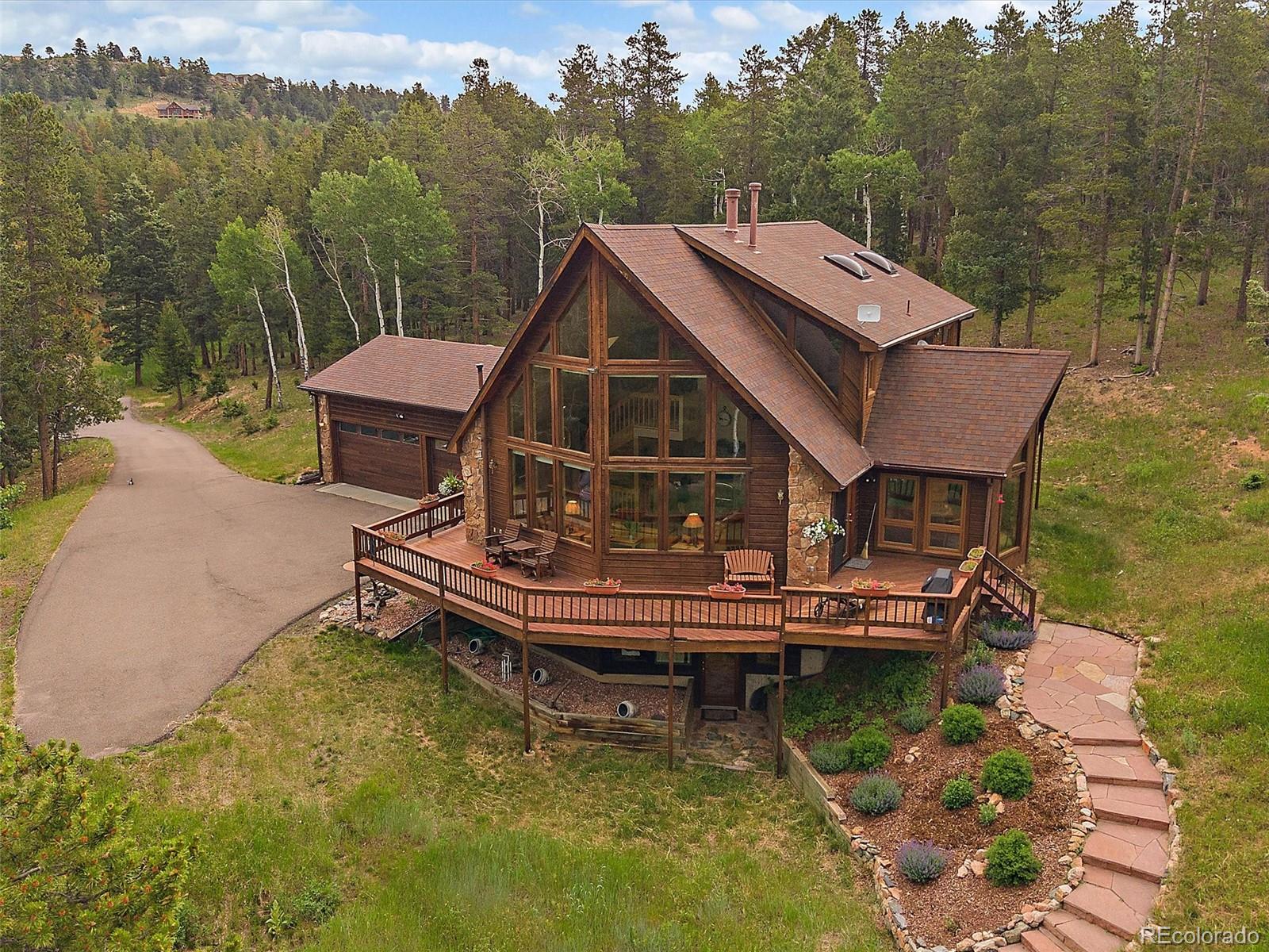 conifer  House Search Picture