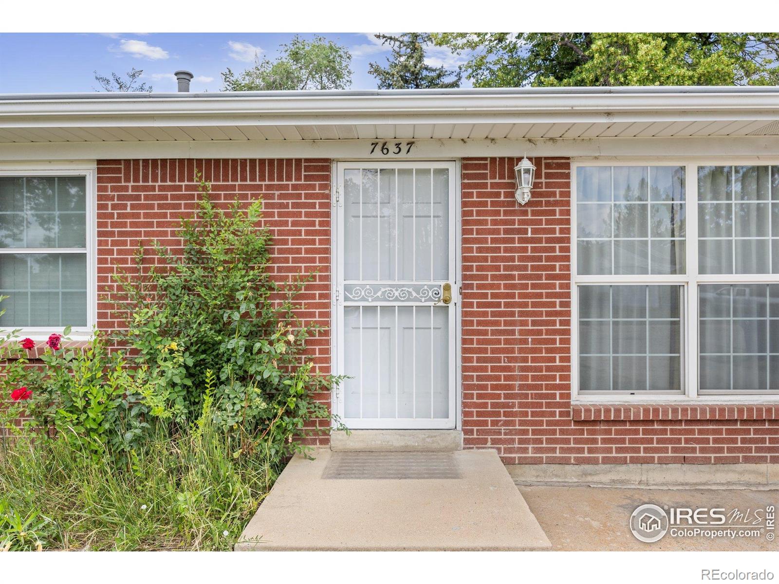 7637  Upham Court, arvada  House Search MLS Picture