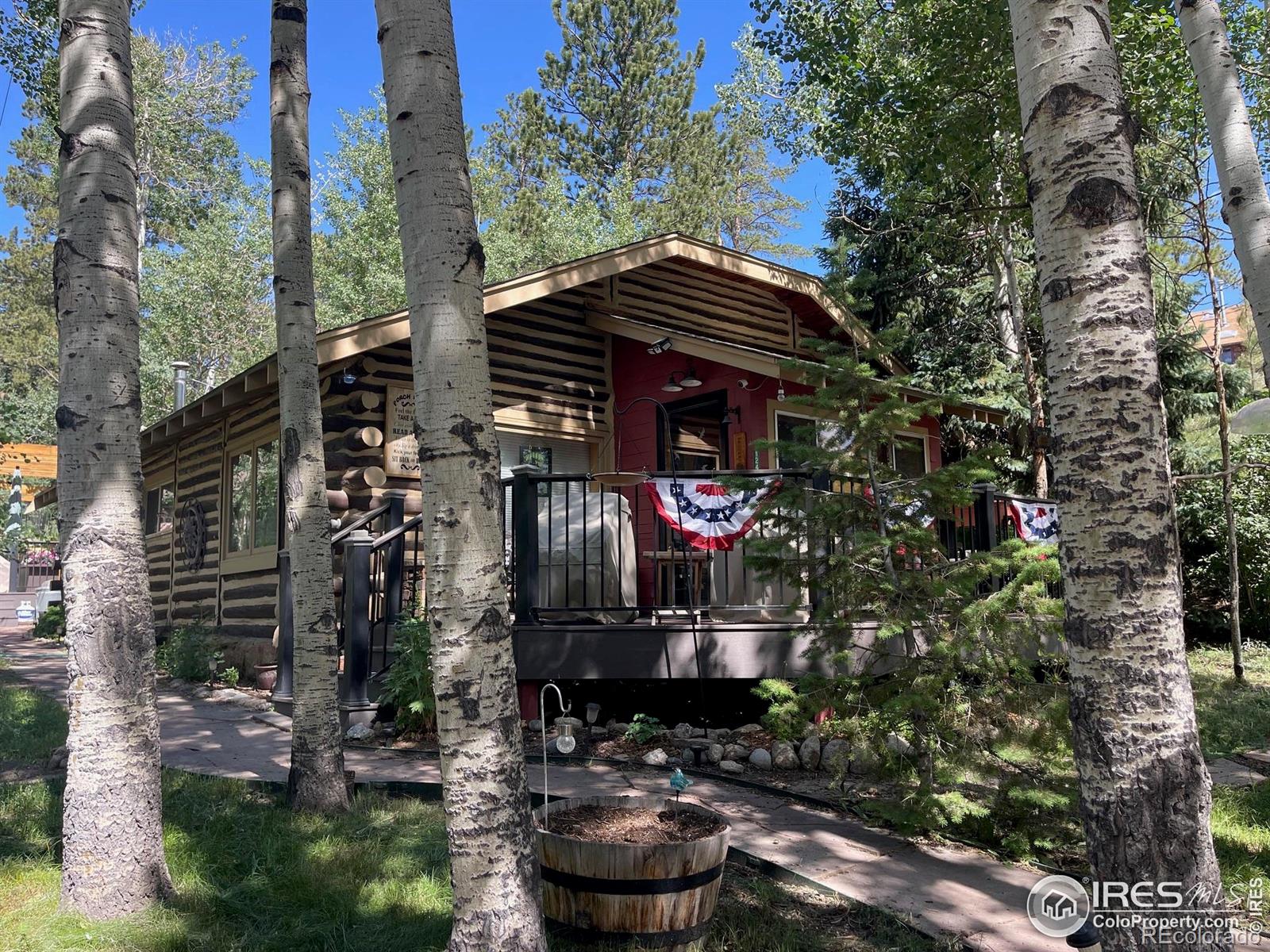 124  Ski Road, allenspark  House Search MLS Picture