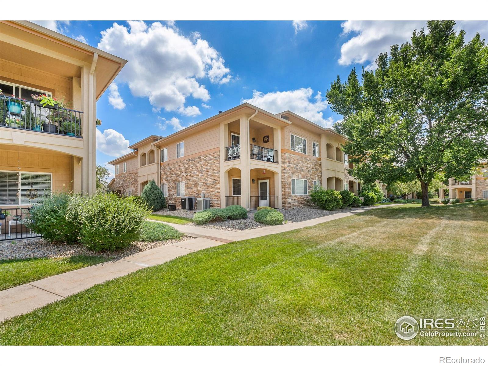 longmont  House Search Picture