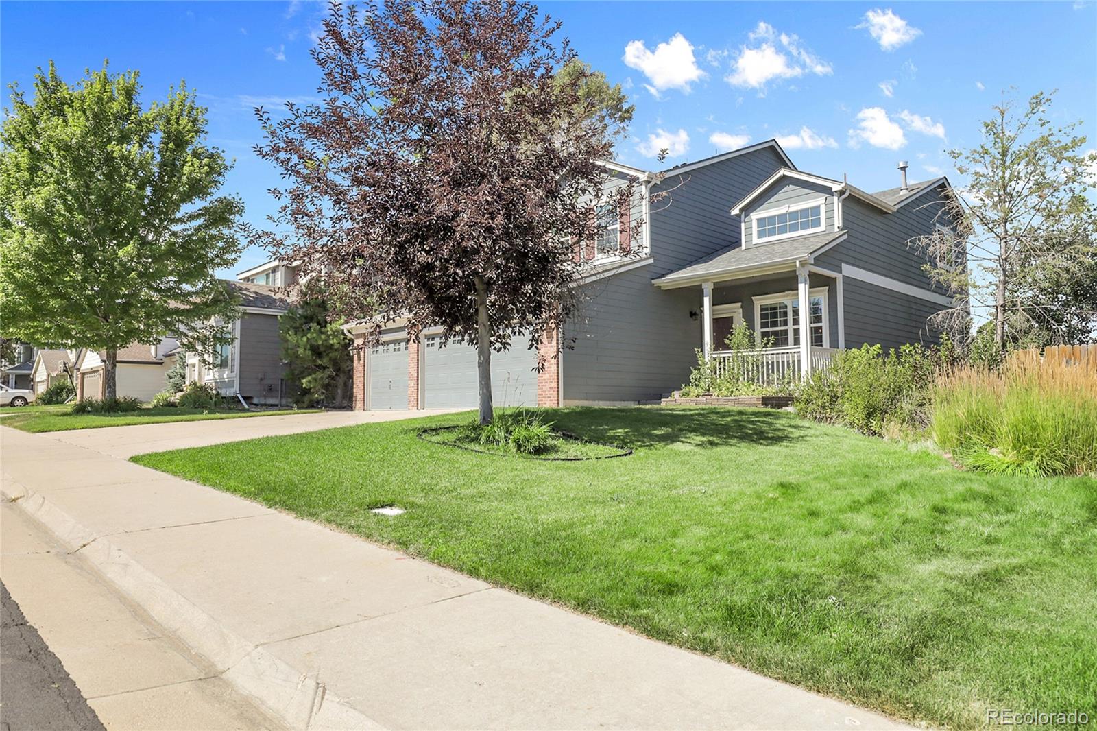 11565  Crow Hill Drive, parker  House Search MLS Picture