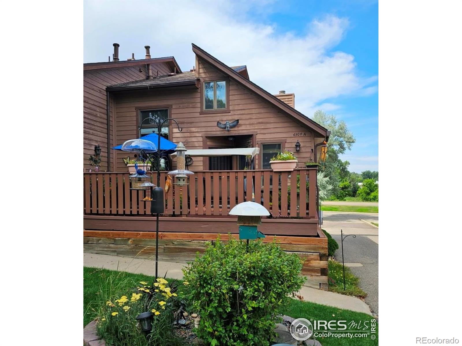 arvada  House Search Picture