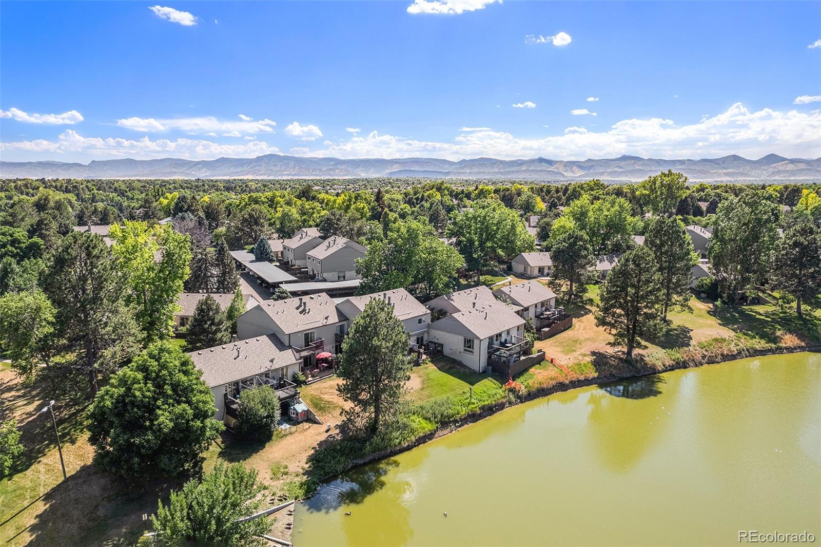 littleton  House Search Picture