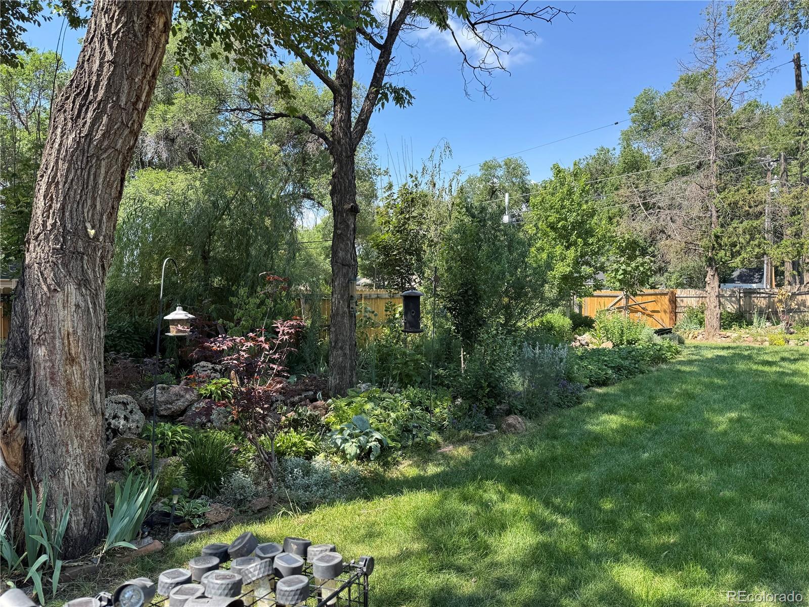colorado springs  House Search Picture