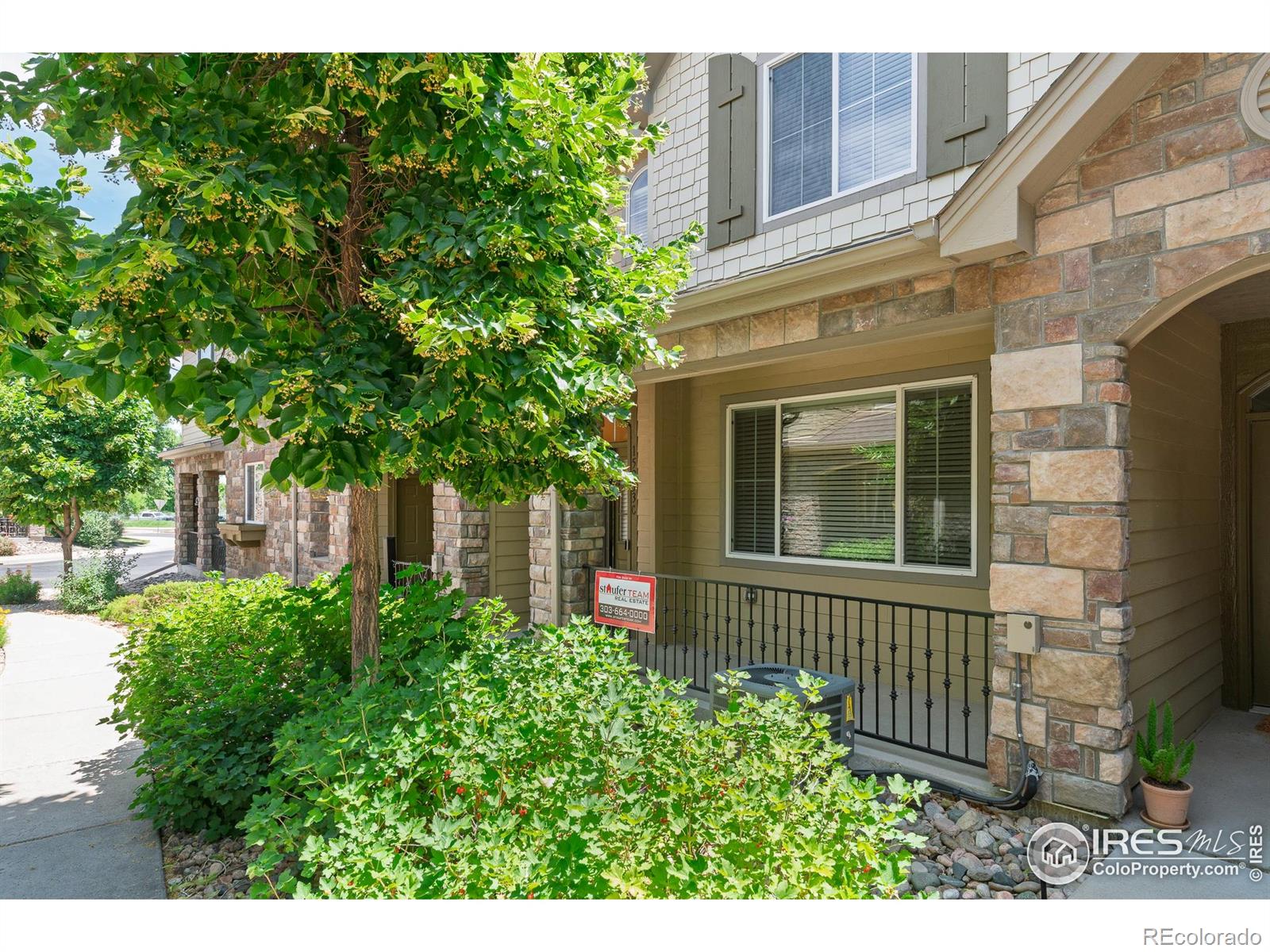 arvada  House Search Picture