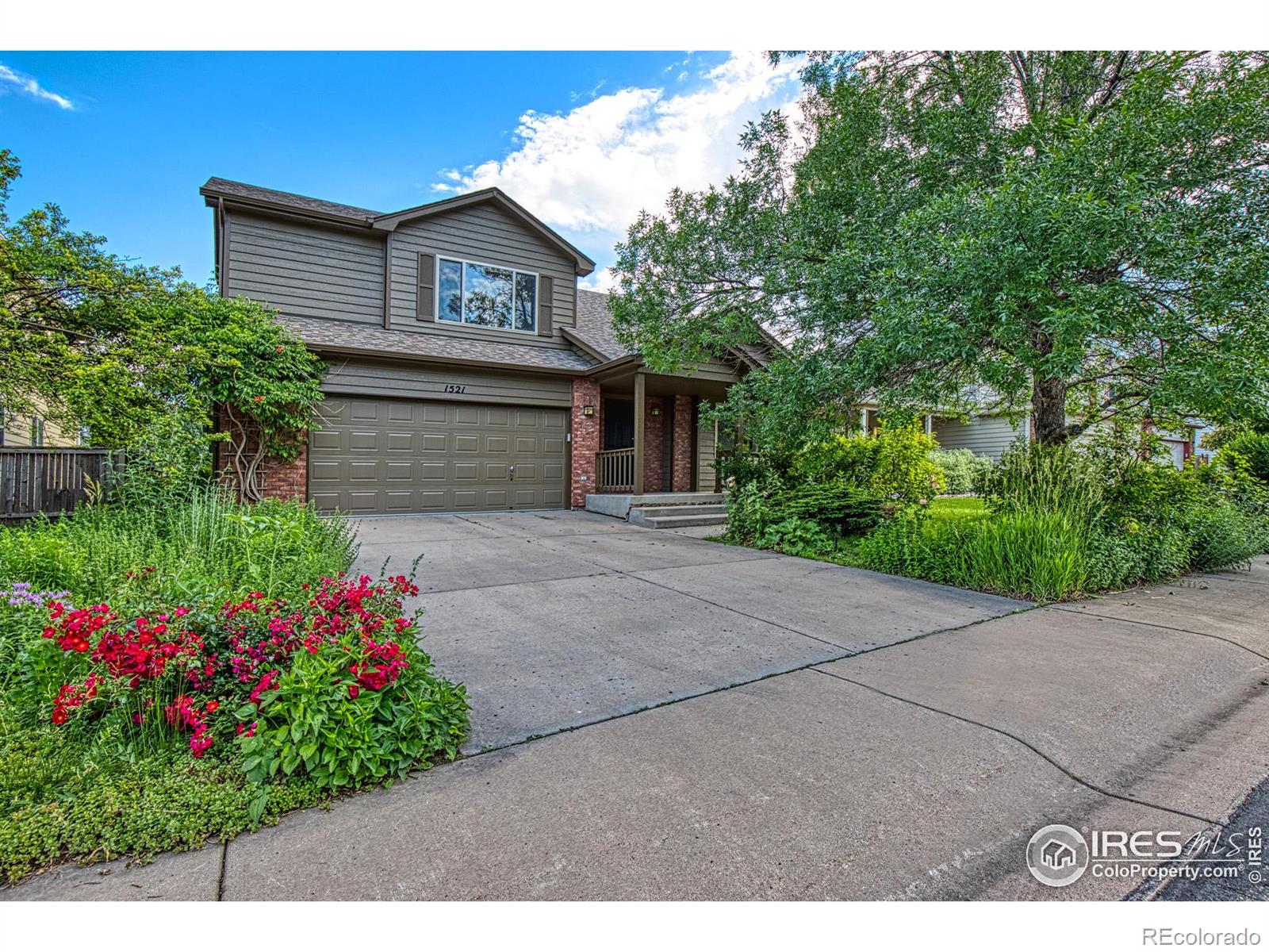 fort collins  House Search Picture