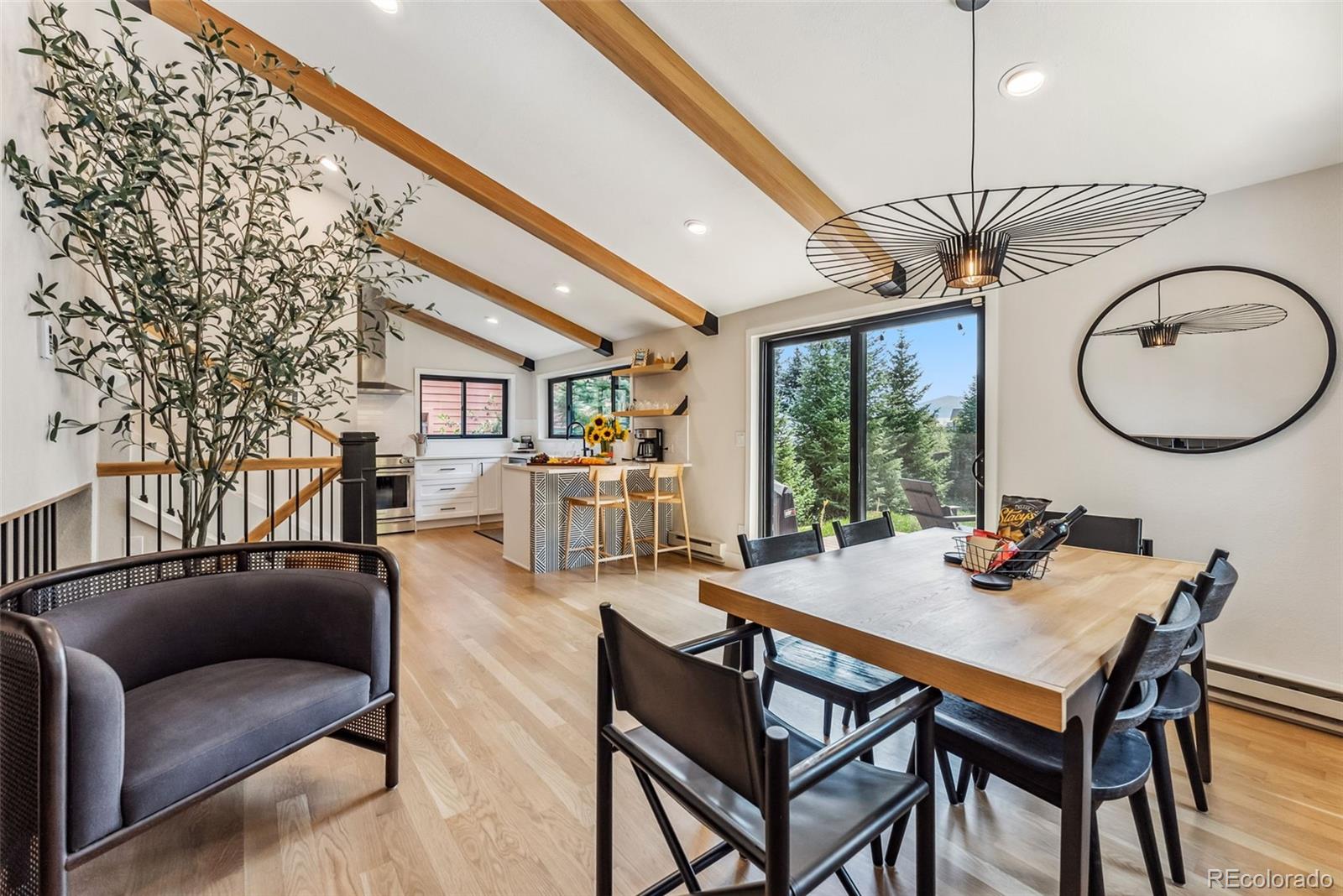 silverthorne  House Search Picture