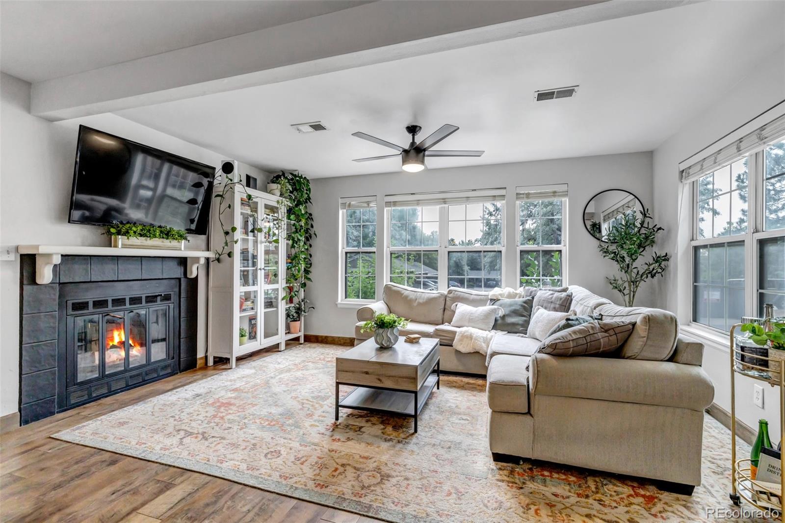 6711 S Ivy Way, centennial  House Search MLS Picture