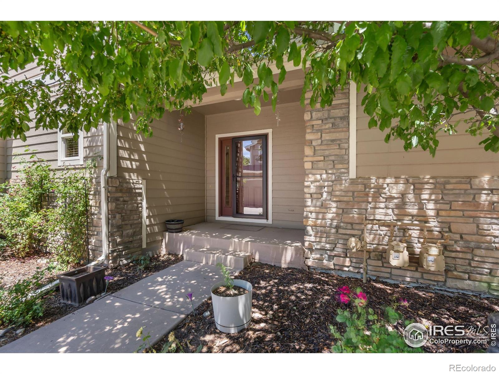 fort collins  House Search Picture