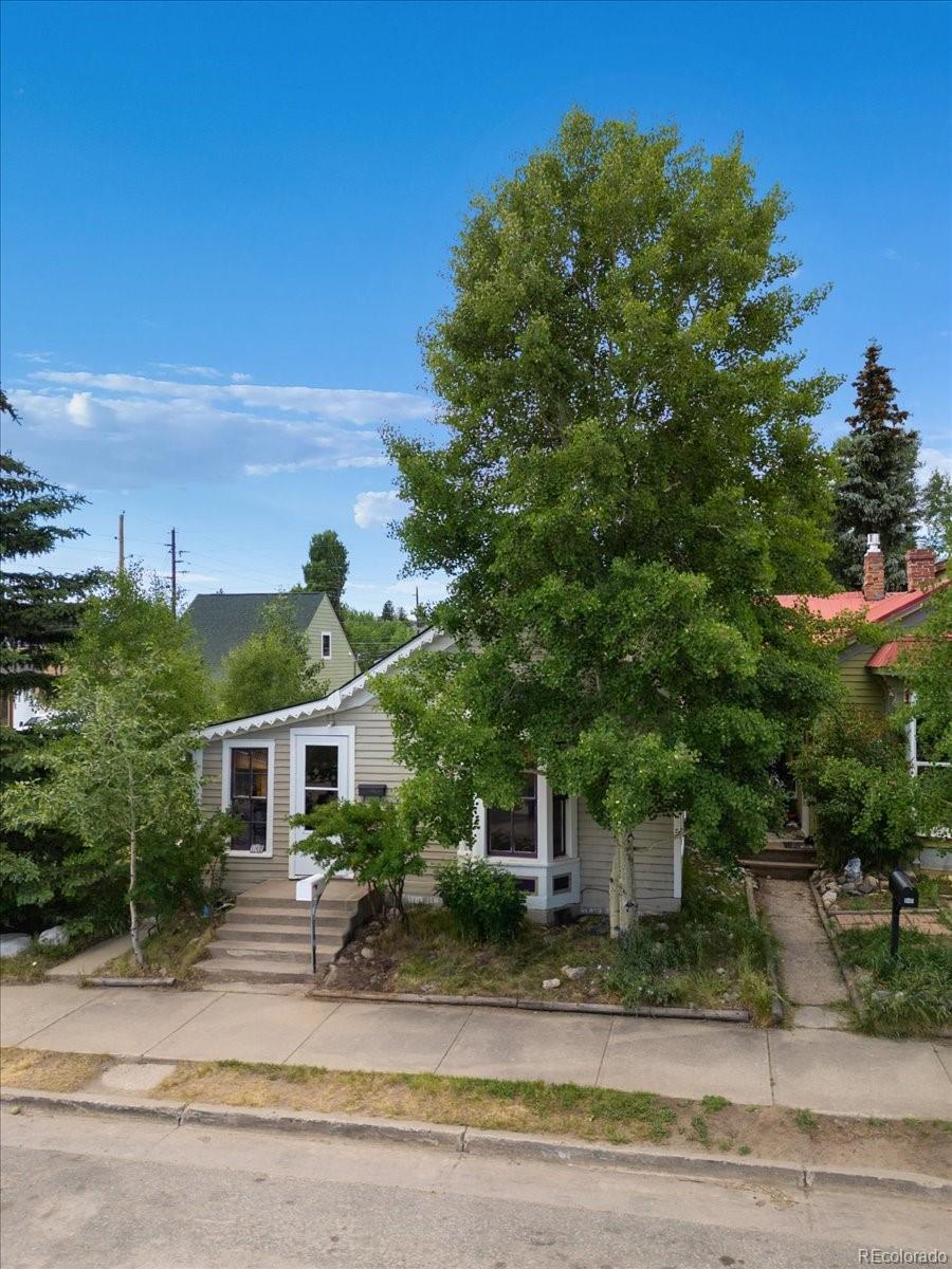 142 W 4th Street, leadville  House Search MLS Picture