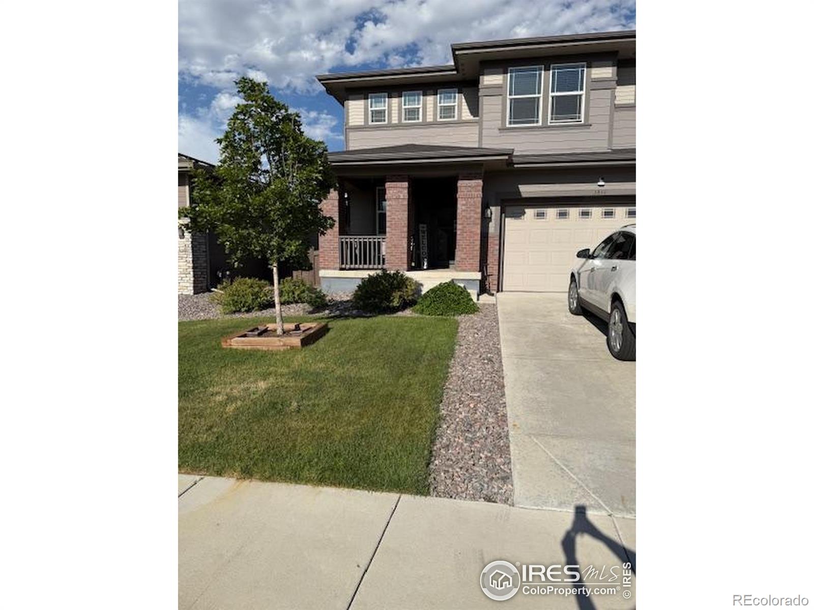 brighton  House Search Picture