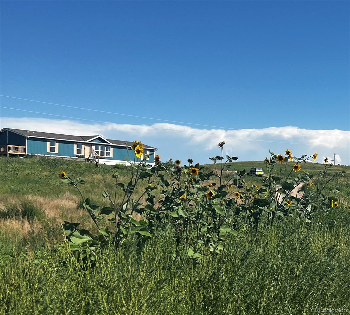 deer trail  House Search Picture