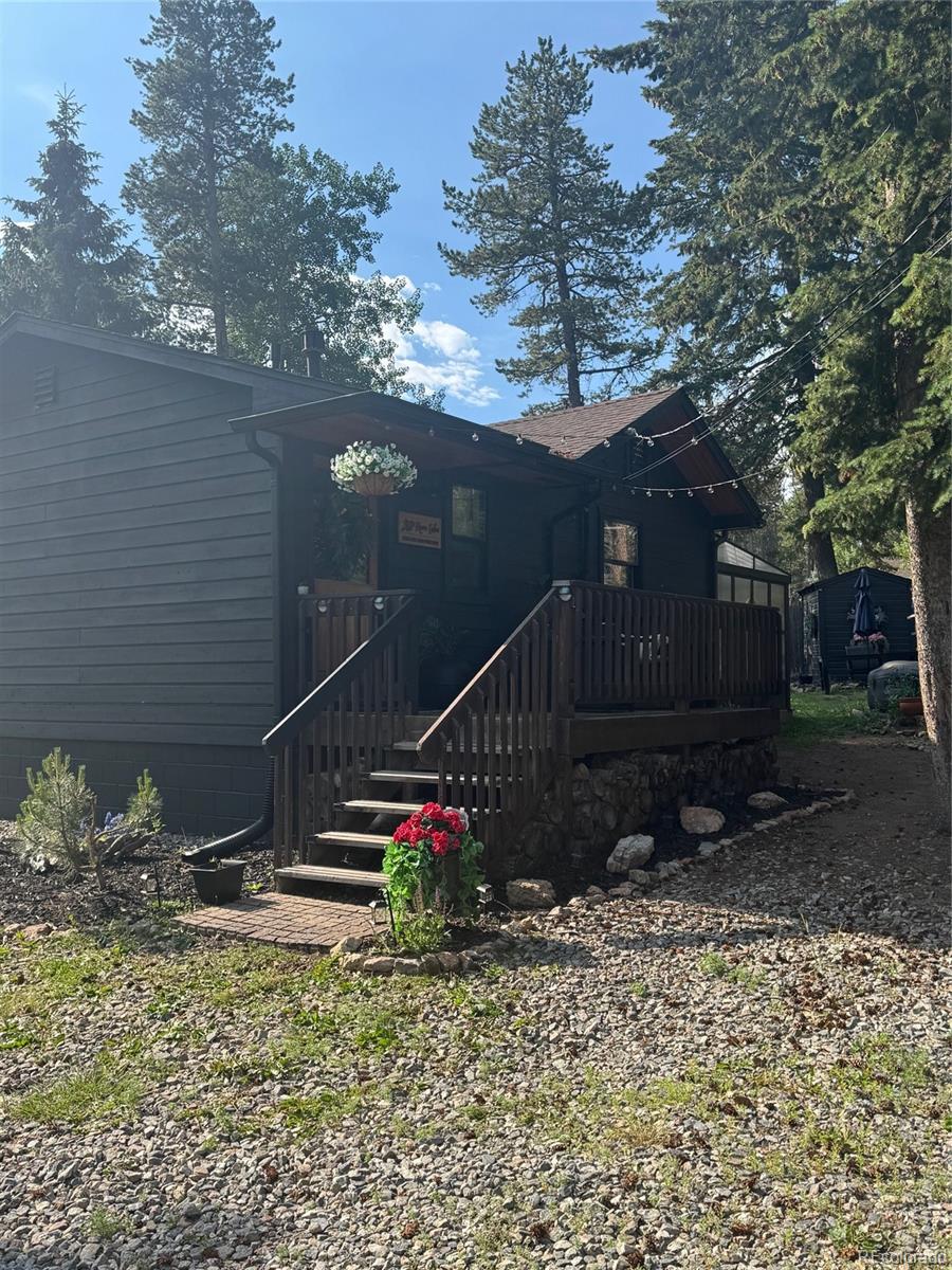 conifer  House Search Picture