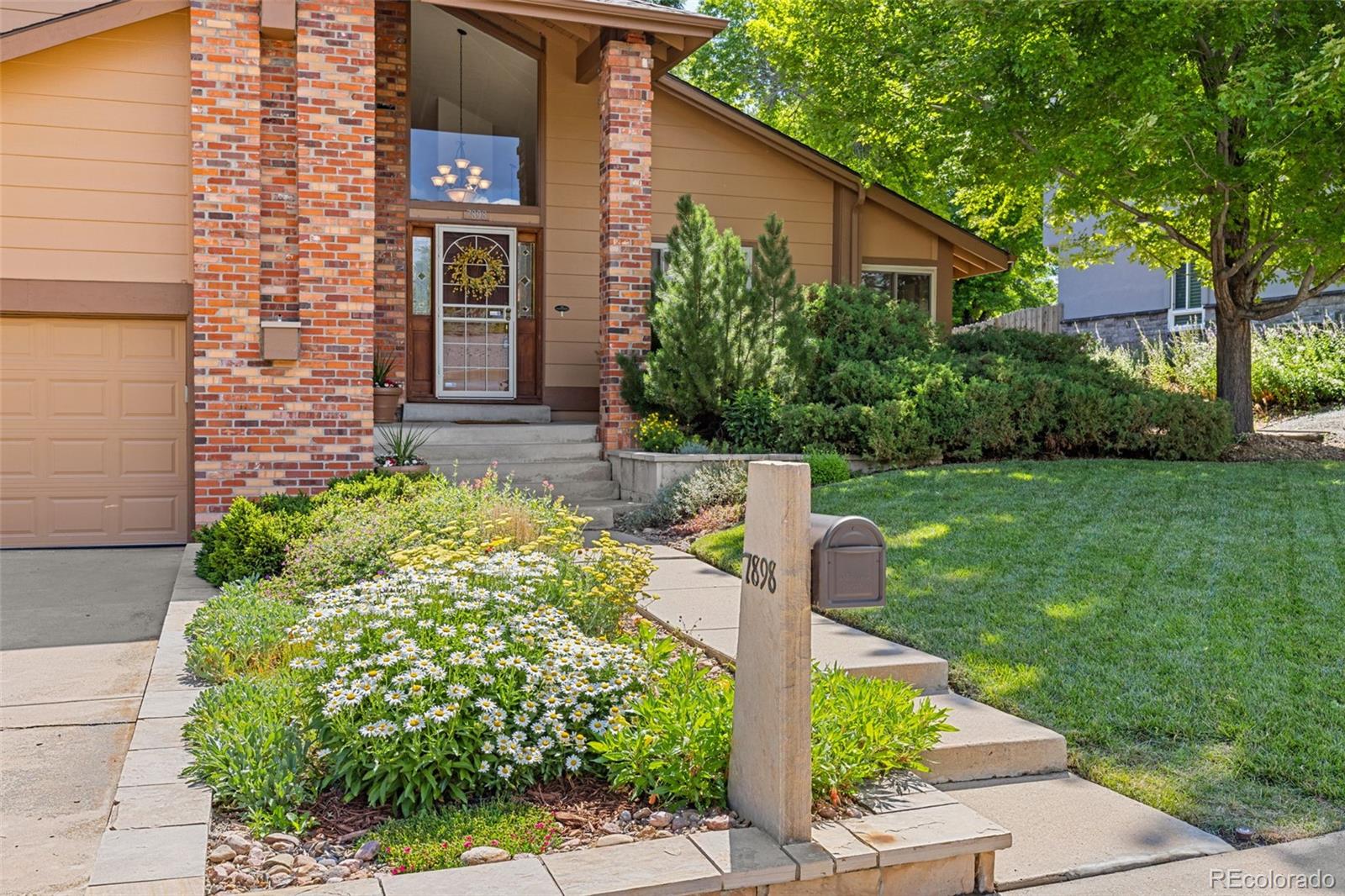 arvada  Coming Soon Search Picture