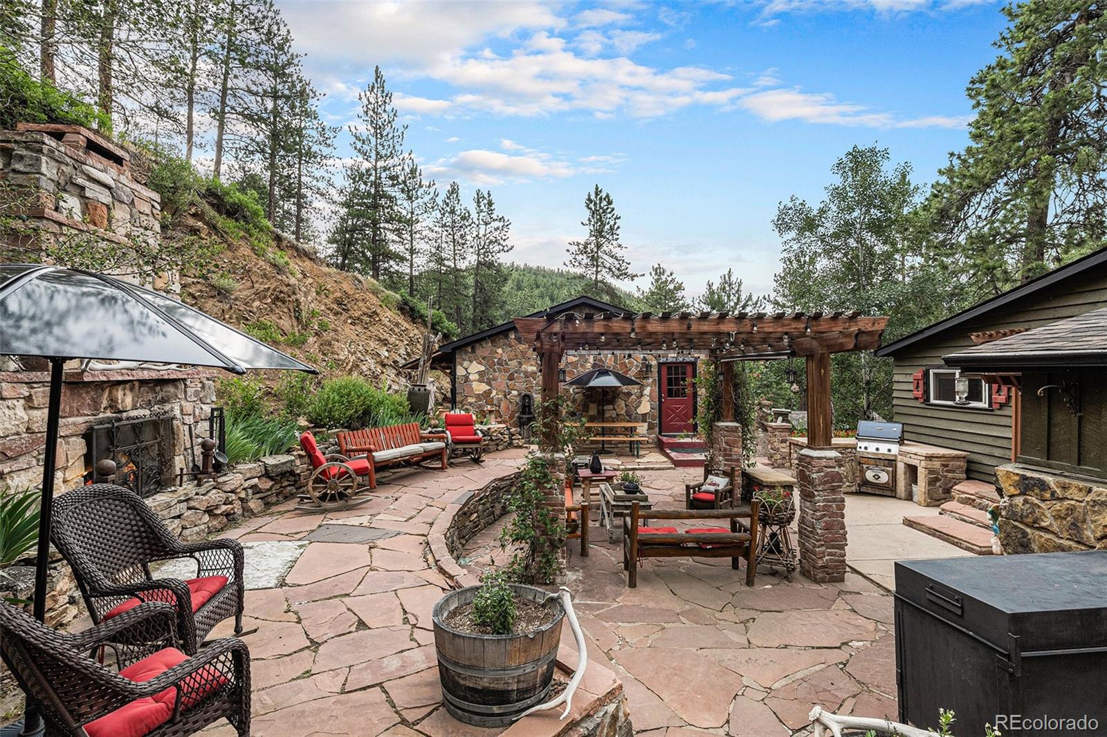 9236 S Mica Mine Gulch Road, littleton  House Search MLS Picture