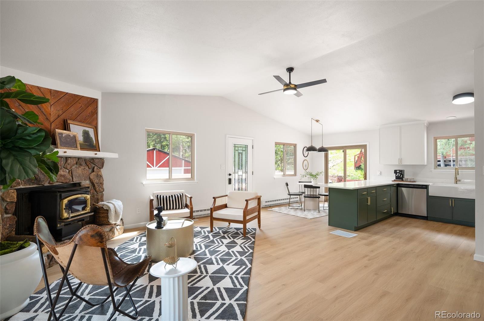 conifer  House Search Picture