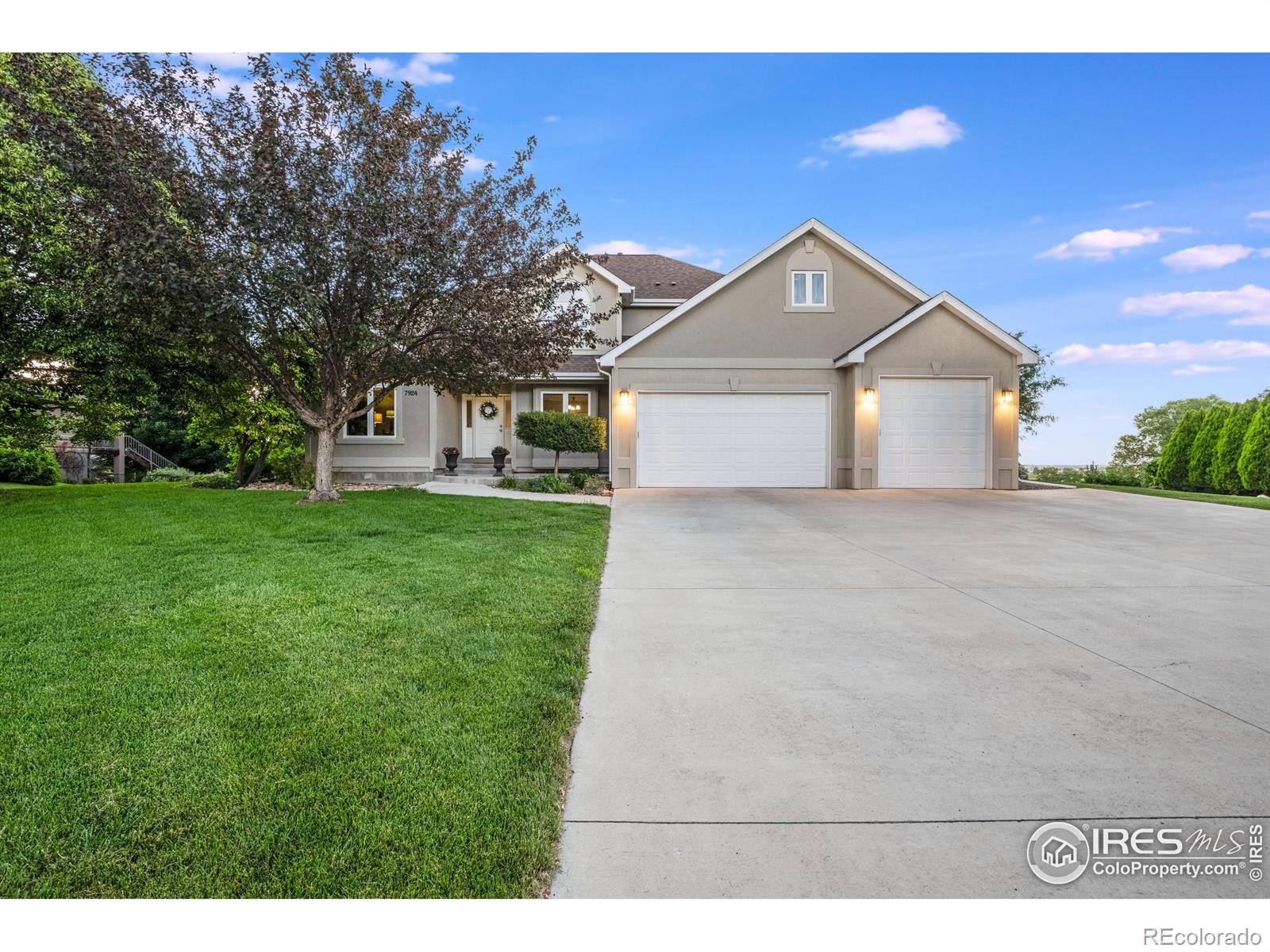 fort collins  House Search Picture
