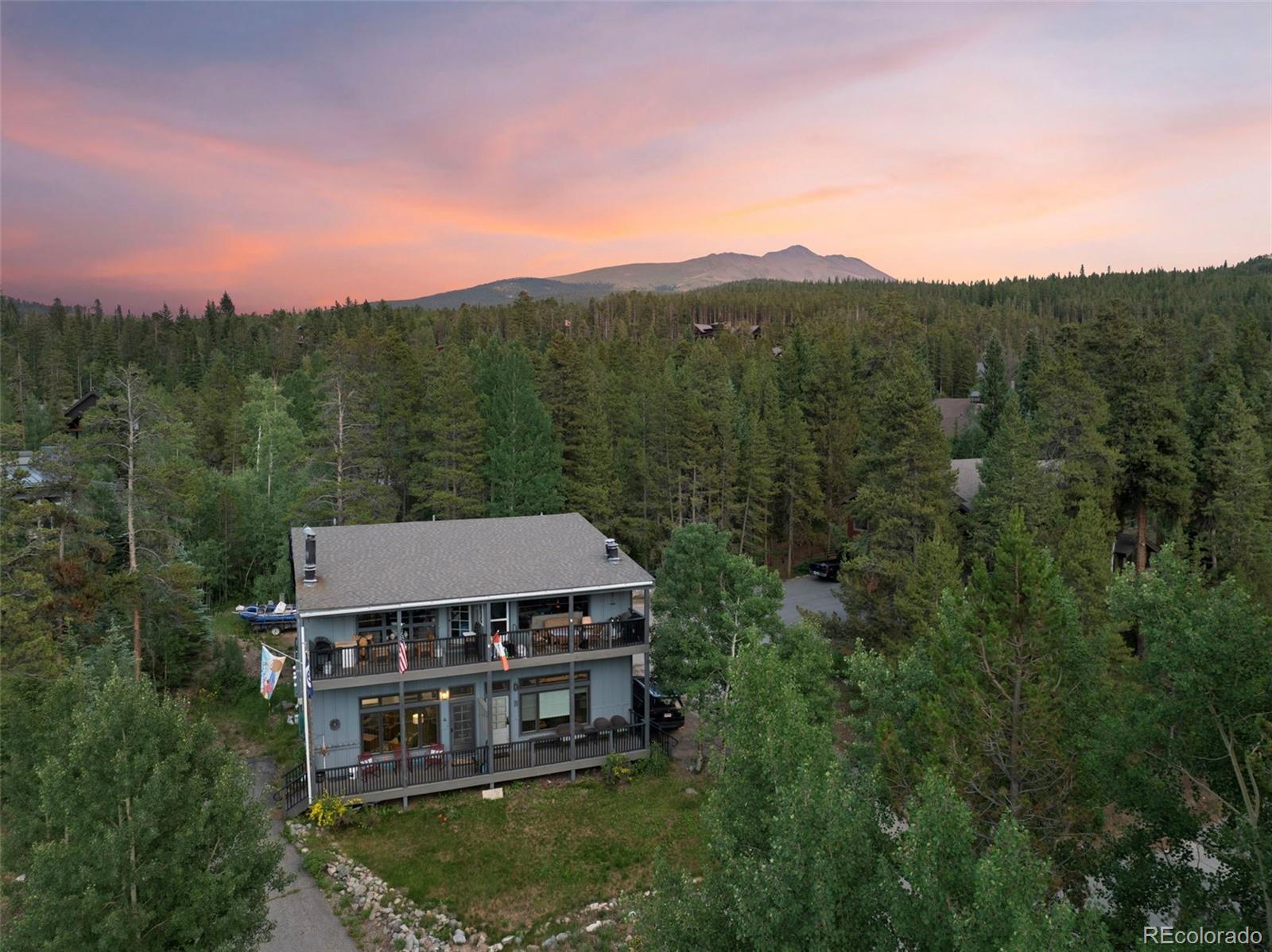 100 N Gold Flake Terrace, breckenridge  House Search MLS Picture