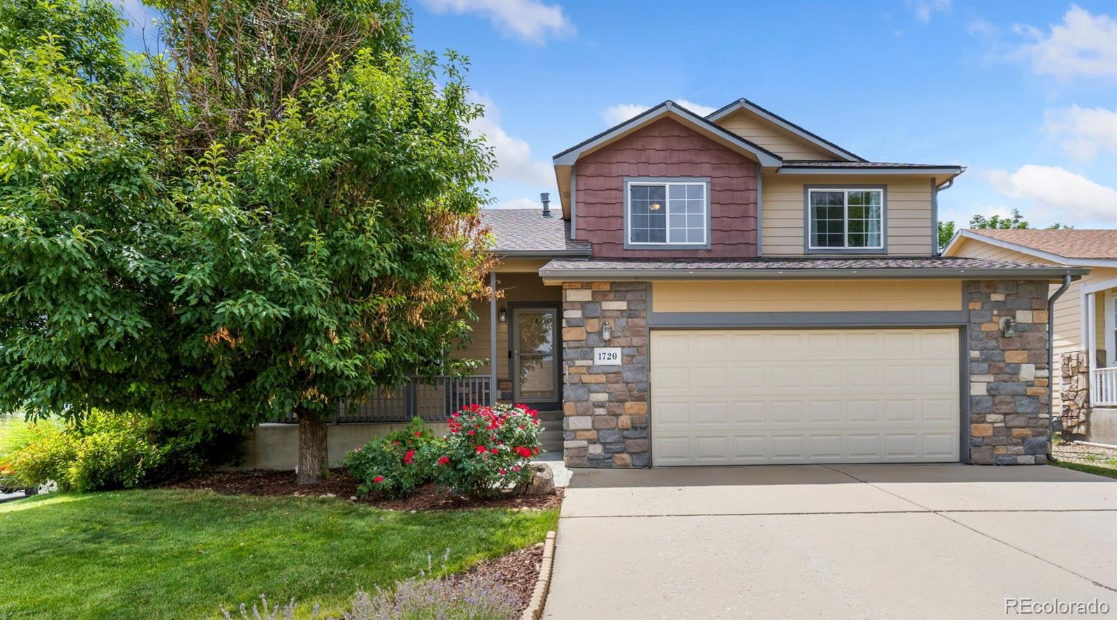 brighton  House Search Picture