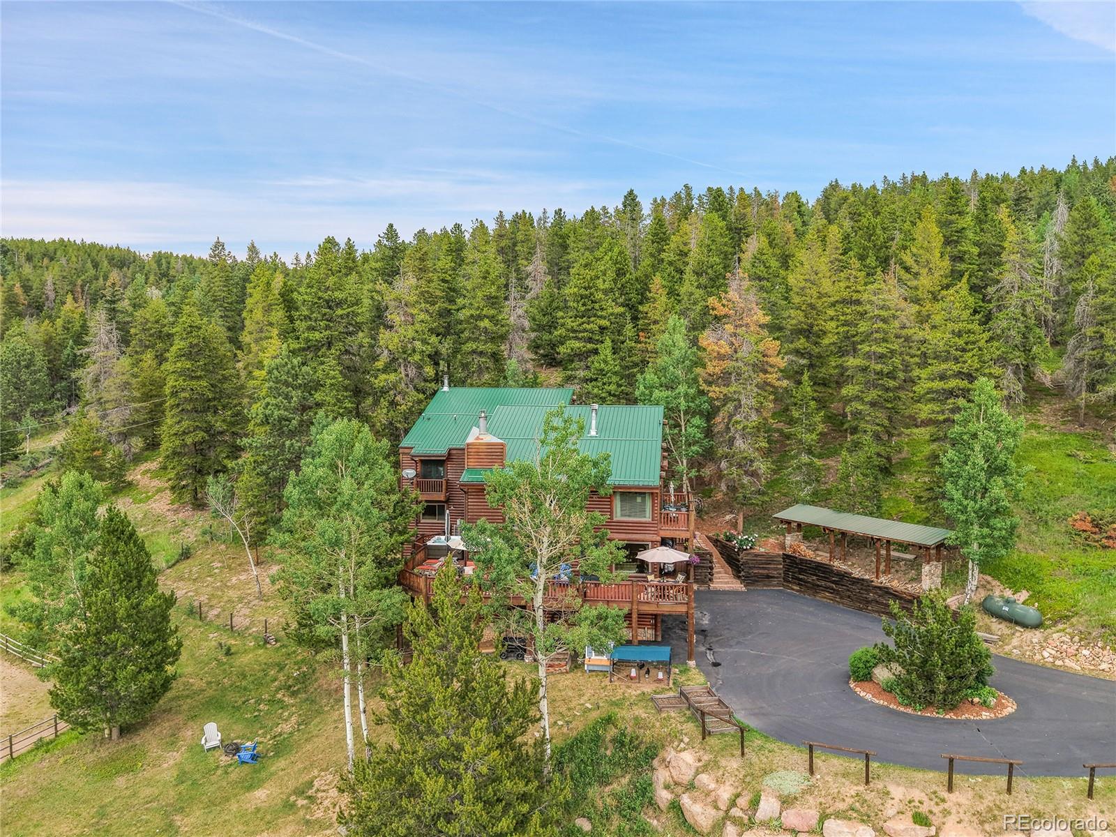 conifer  House Search Picture