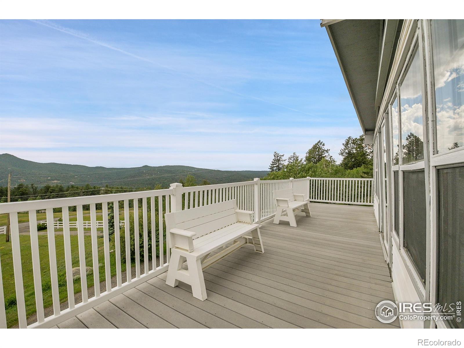 conifer  House Search Picture