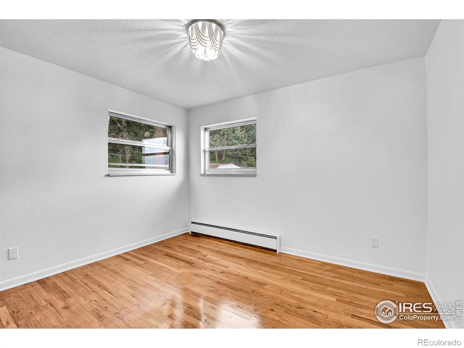24927  Agate Avenue, conifer  House Search MLS Picture