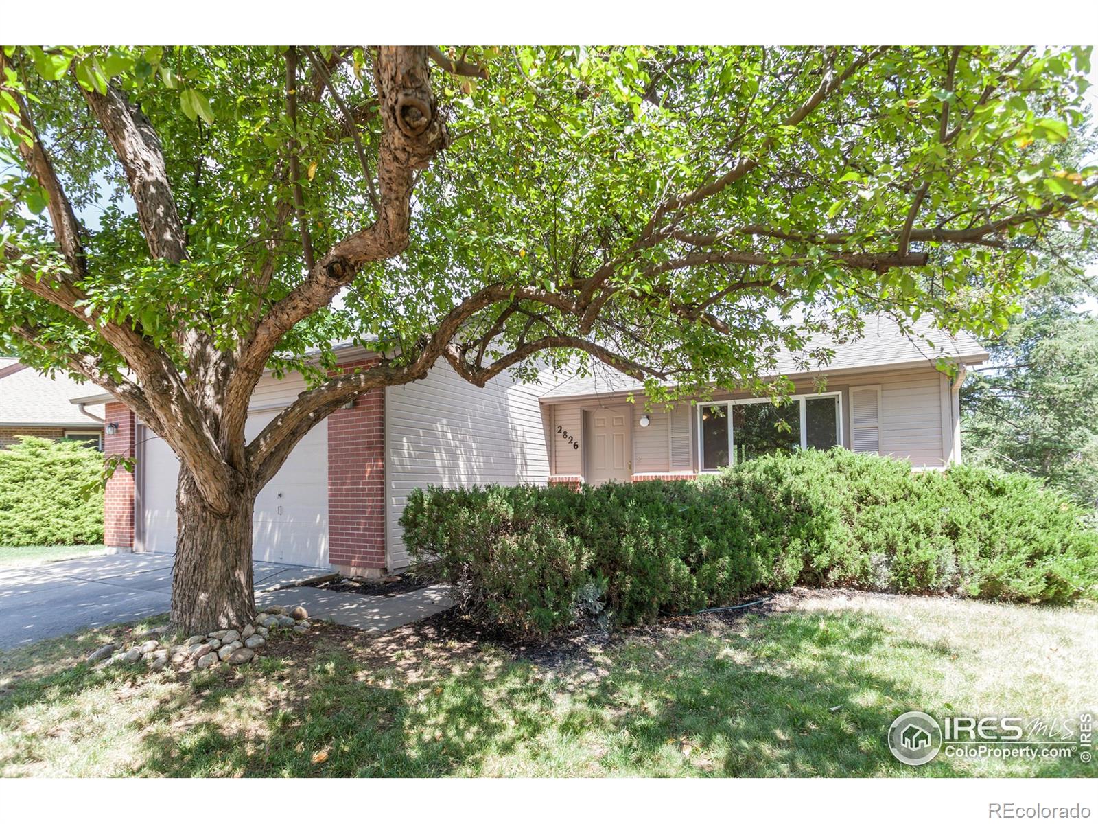 2826  Morgan Court, fort collins  House Search MLS Picture