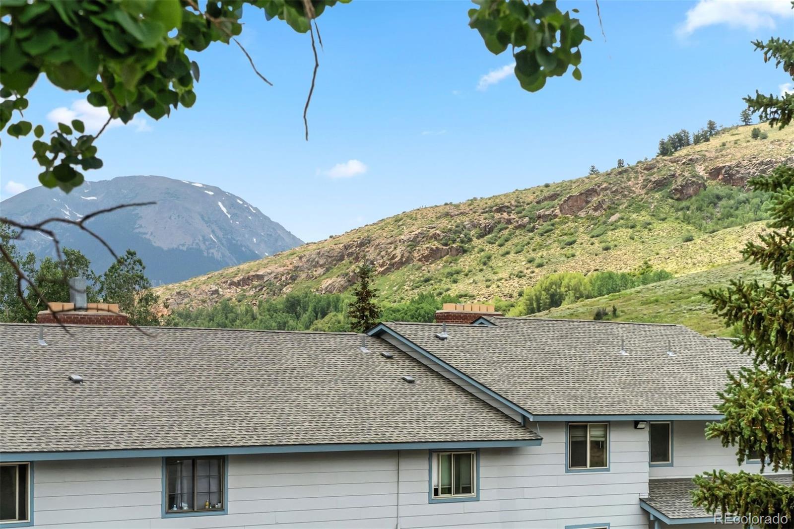 675  Straight Creek Drive, dillon  House Search MLS Picture