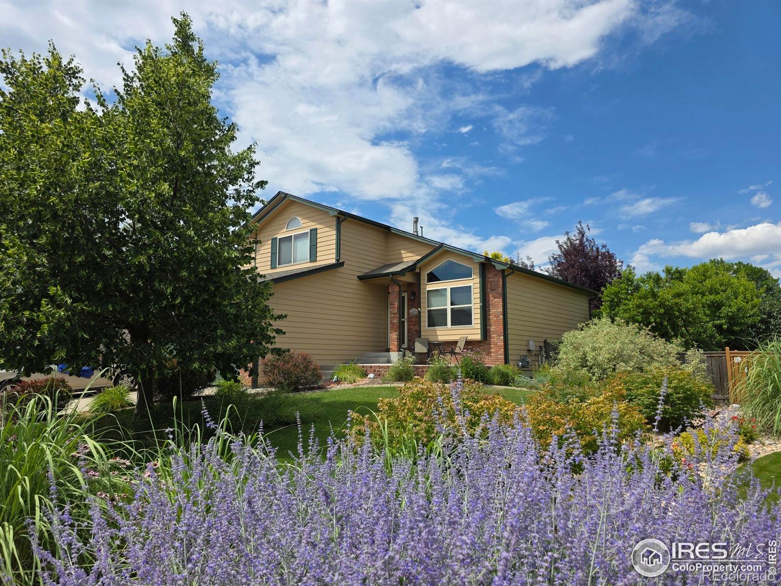 2129  72nd Ave Ct, greeley MLS: 4567891039213 Beds: 4 Baths: 3 Price: $450,000