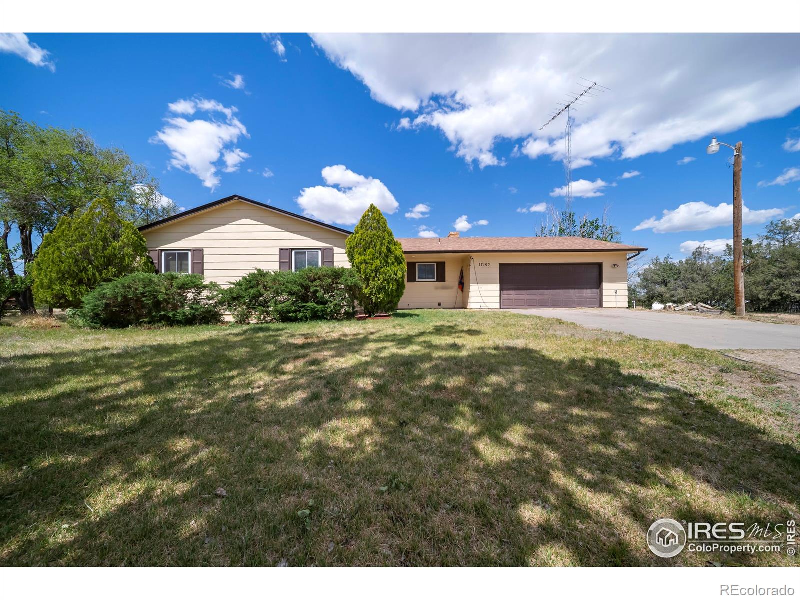 brush  House Search Picture