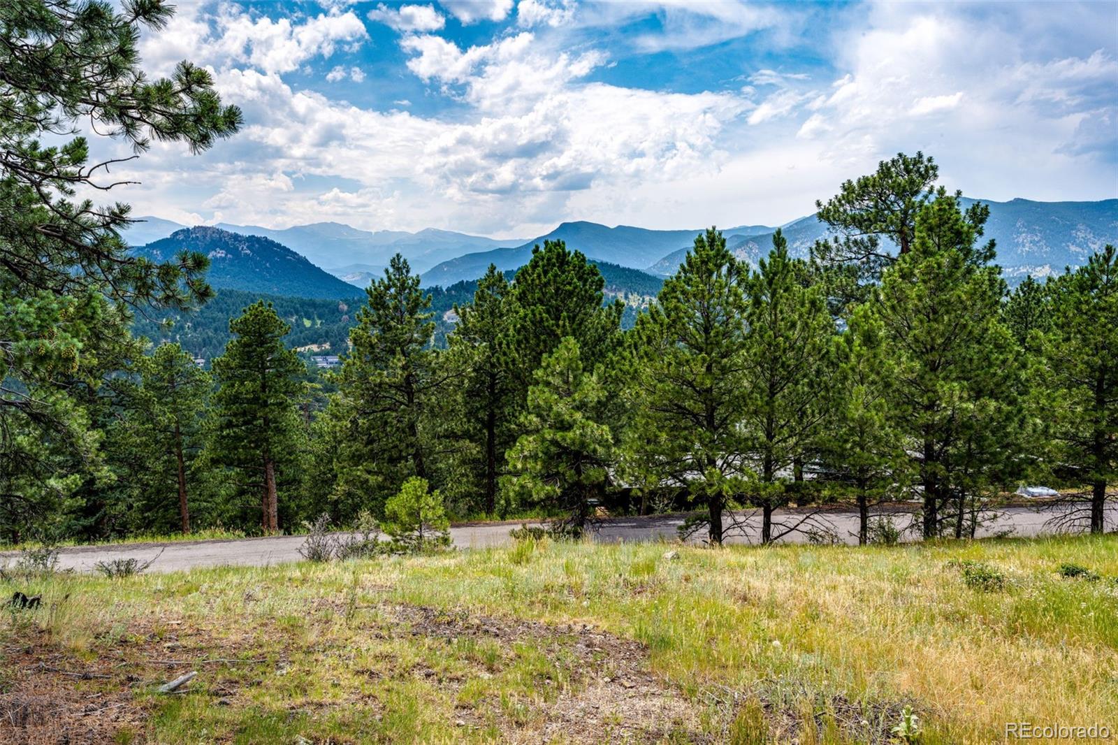 evergreen  House Search Picture