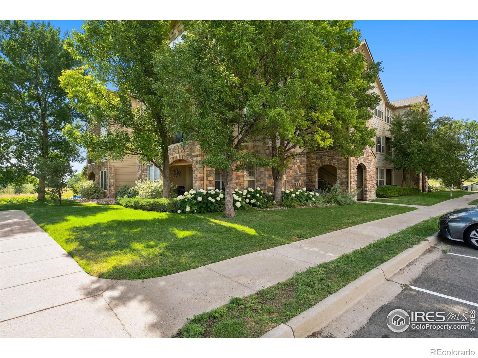 fort collins  House Search Picture