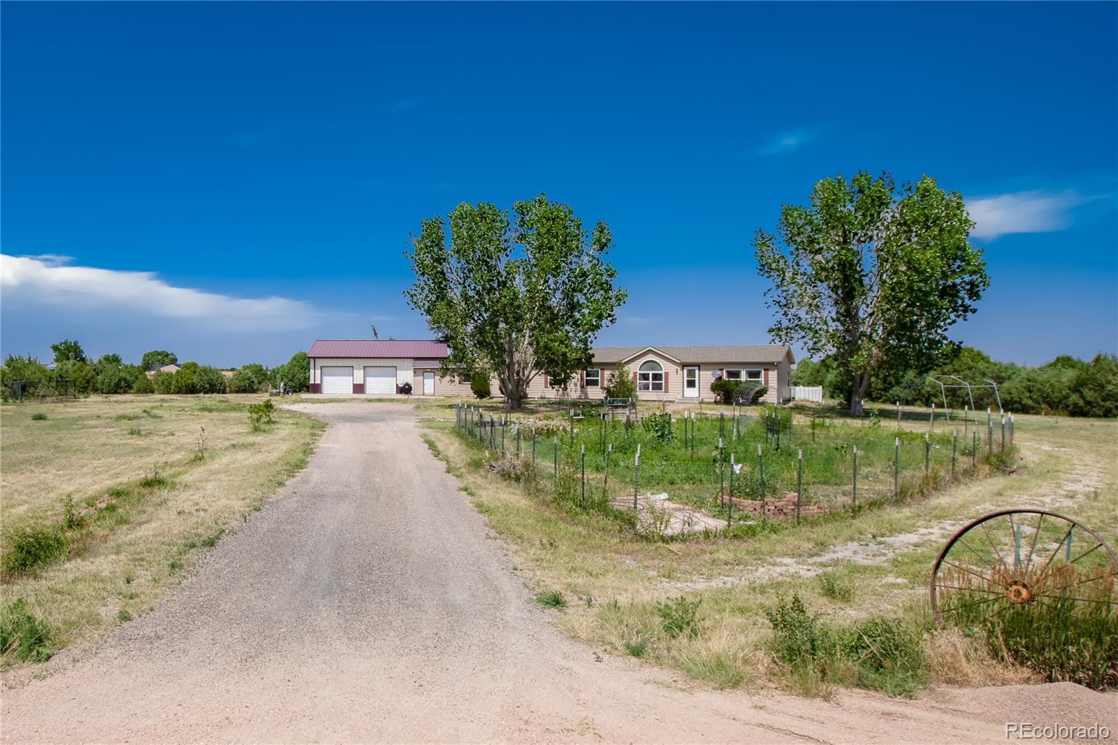 wiggins  House Search Picture