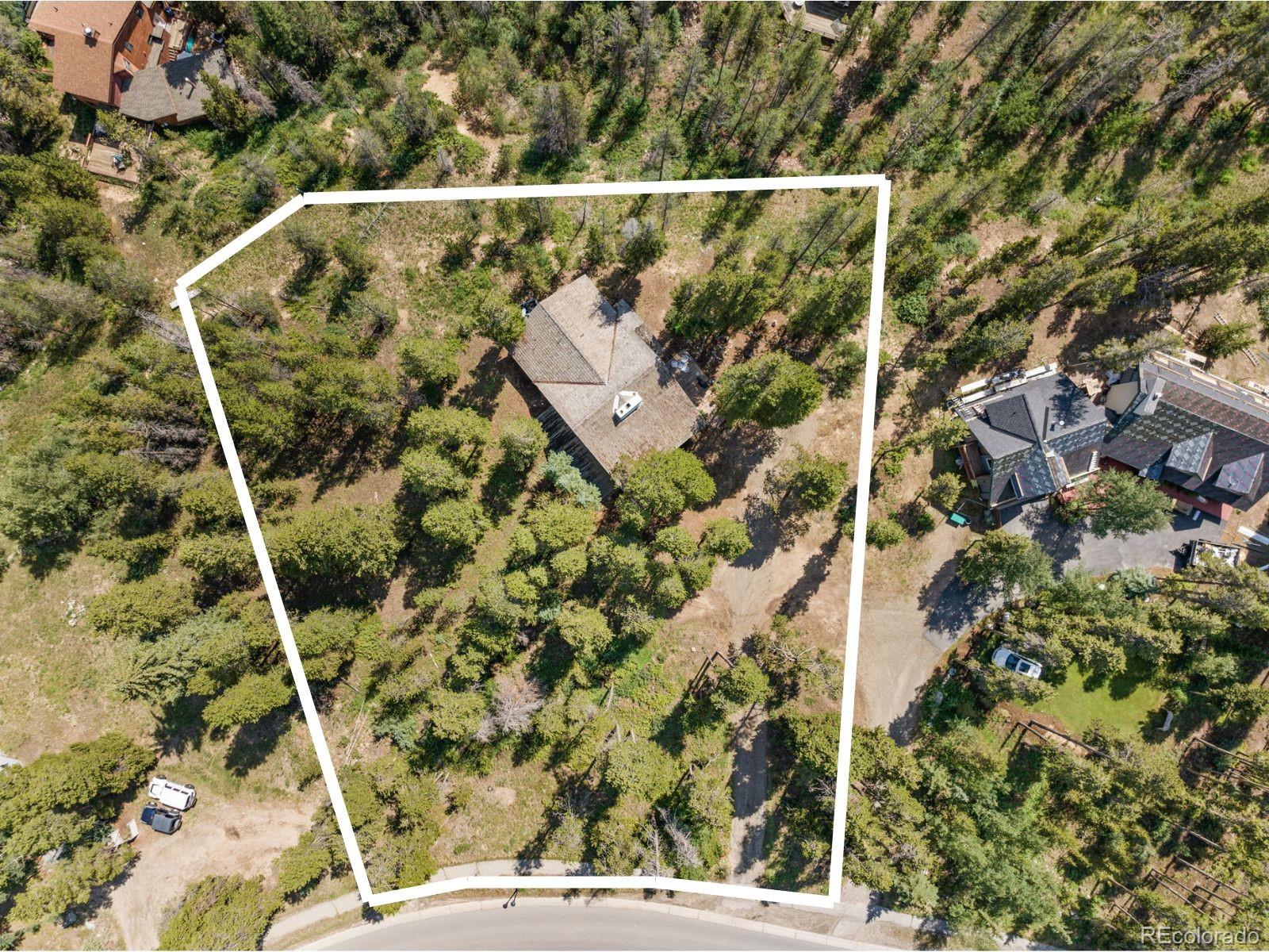 128  Royal Tiger Road, breckenridge  House Search MLS Picture