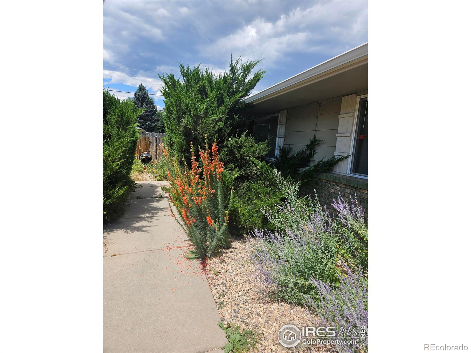 611 N Bryan Avenue, fort collins  House Search MLS Picture