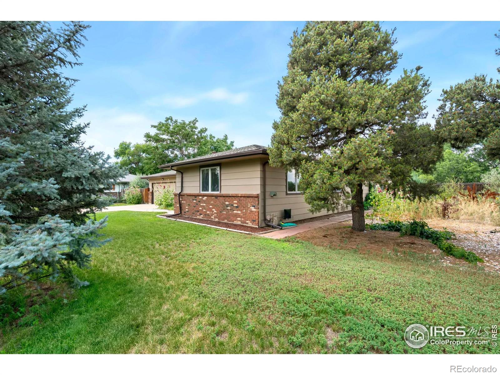421  Camino del Mundo , fort collins  House Search MLS Picture