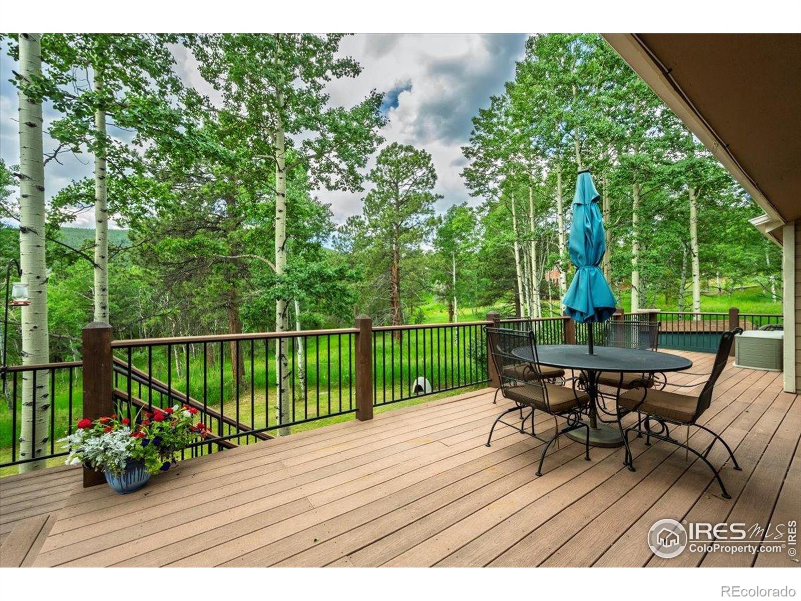 1362  Pine Valley Road, evergreen  House Search MLS Picture