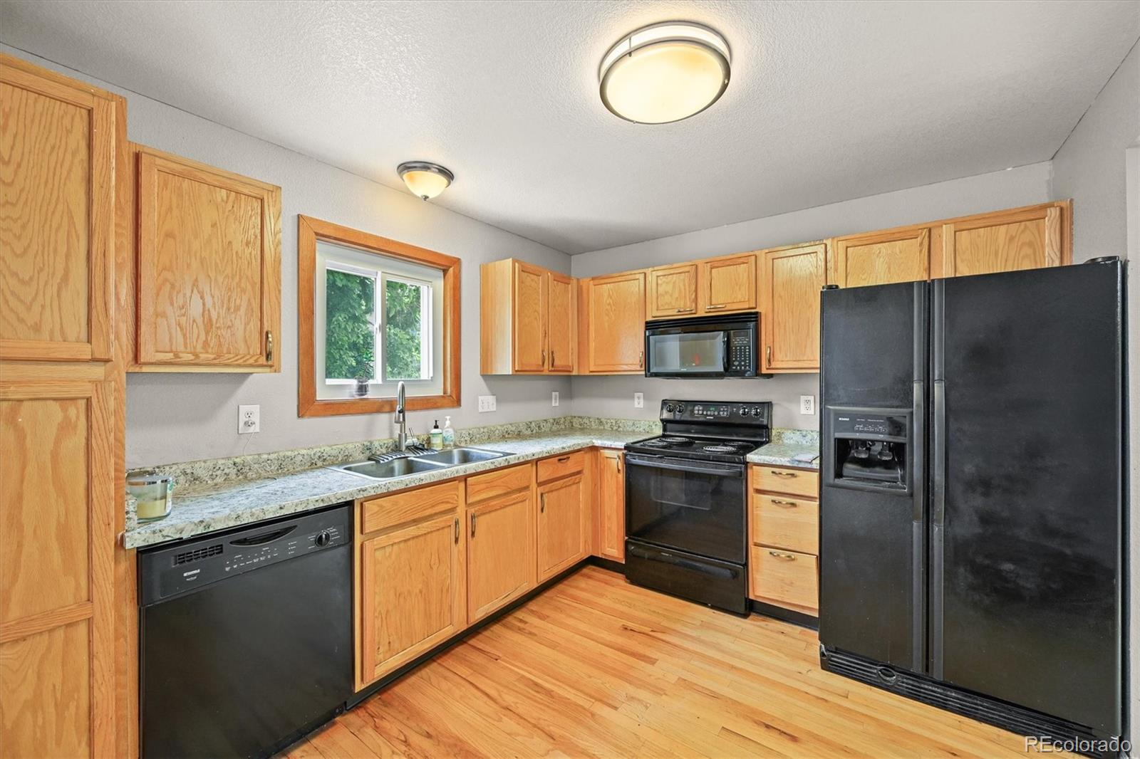 4452  Cornish Way, denver  House Search MLS Picture