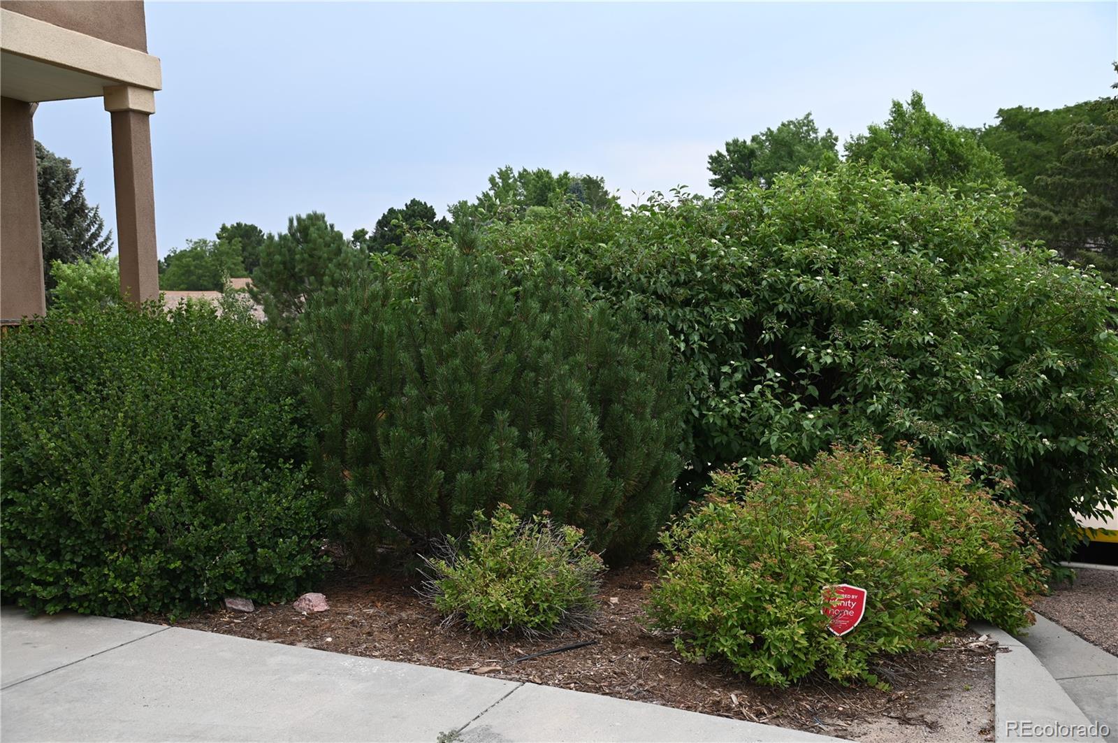 2642  Lynbarton Point, colorado springs  House Search MLS Picture