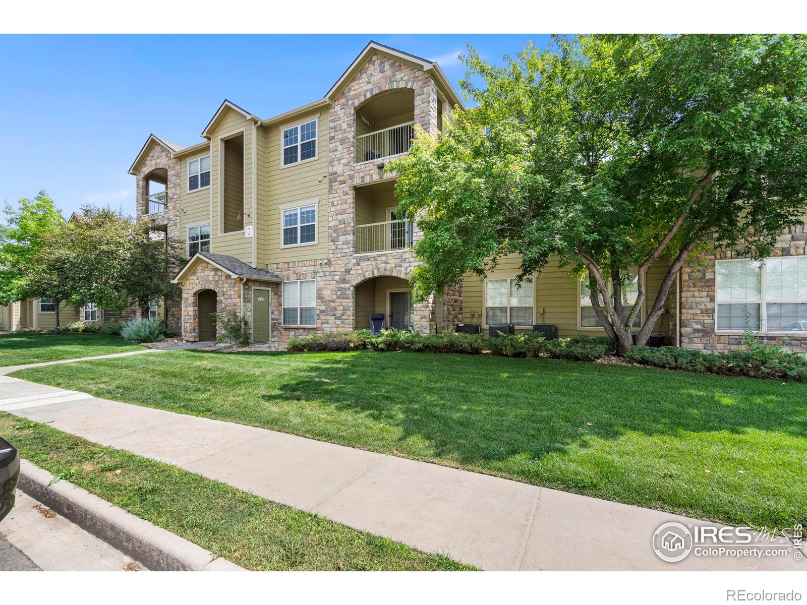 fort collins  House Search Picture