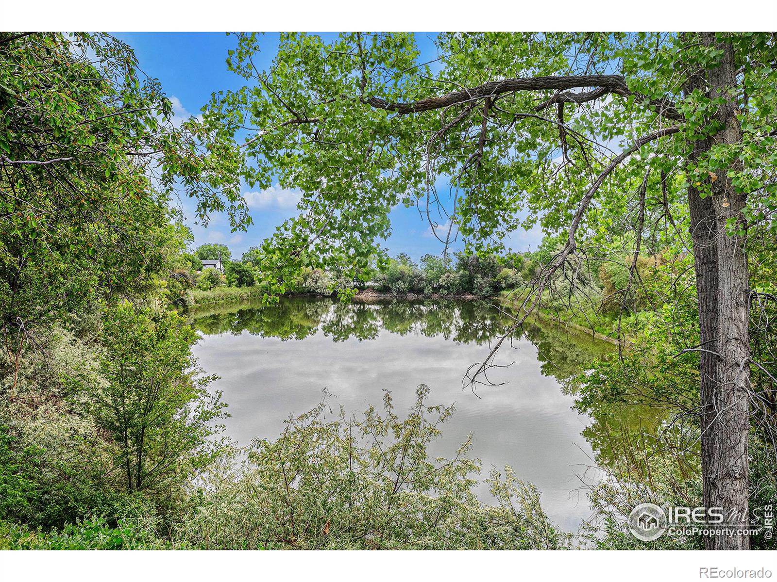 denver  House Search Picture
