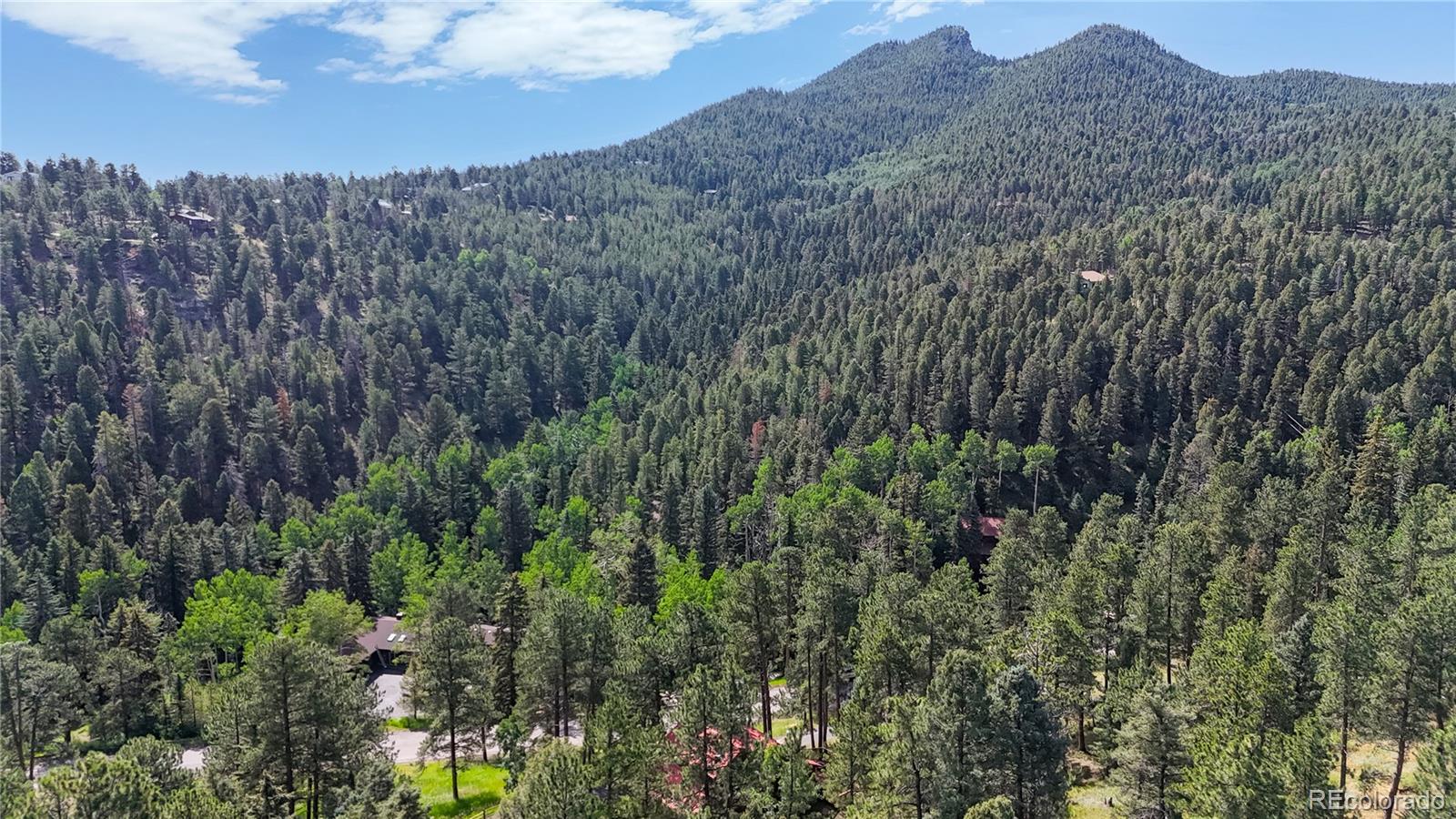 12059  Black Hawk Drive, conifer  House Search MLS Picture