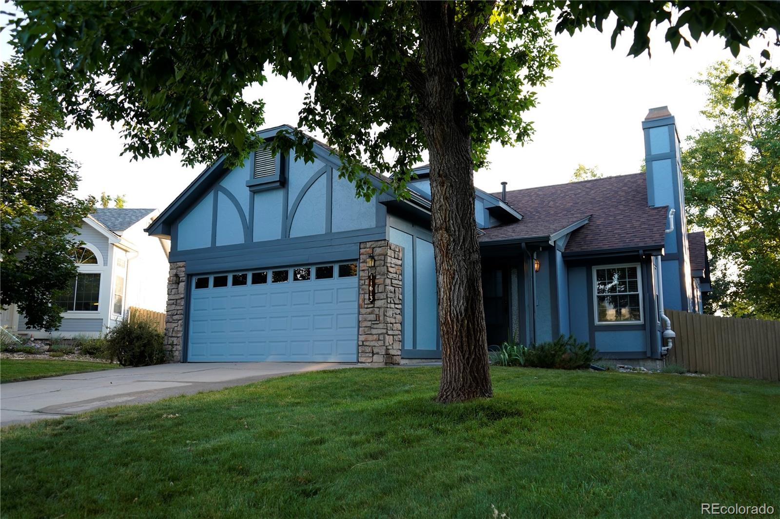 11613  Masonville Drive, parker  House Search MLS Picture