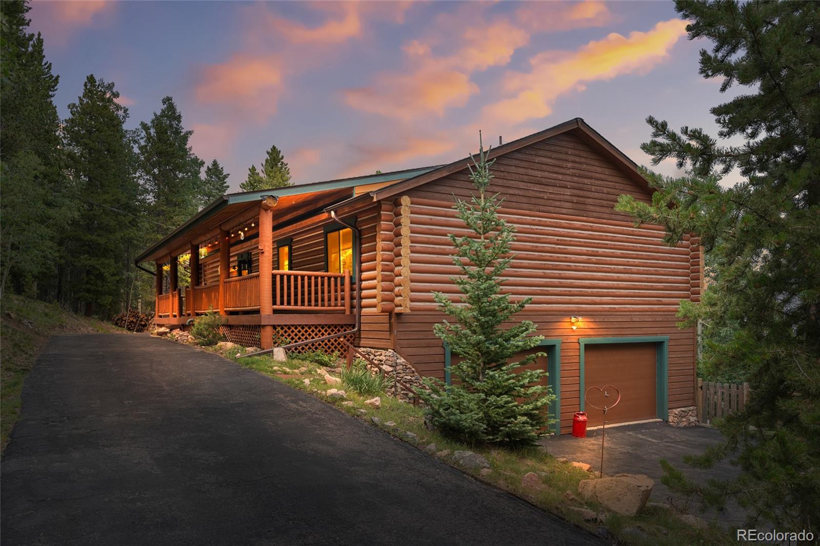 conifer  House Search Picture
