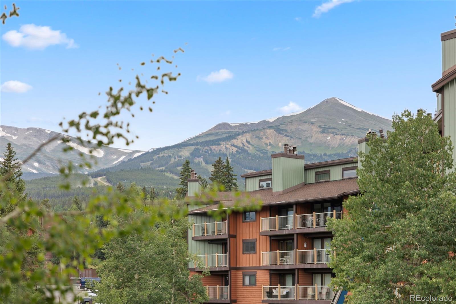 100 S Park Avenue, breckenridge  House Search MLS Picture